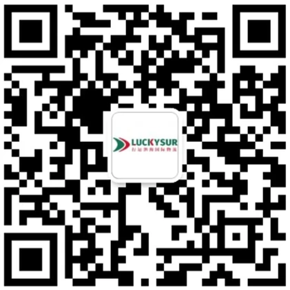 luckysur-qr.webp